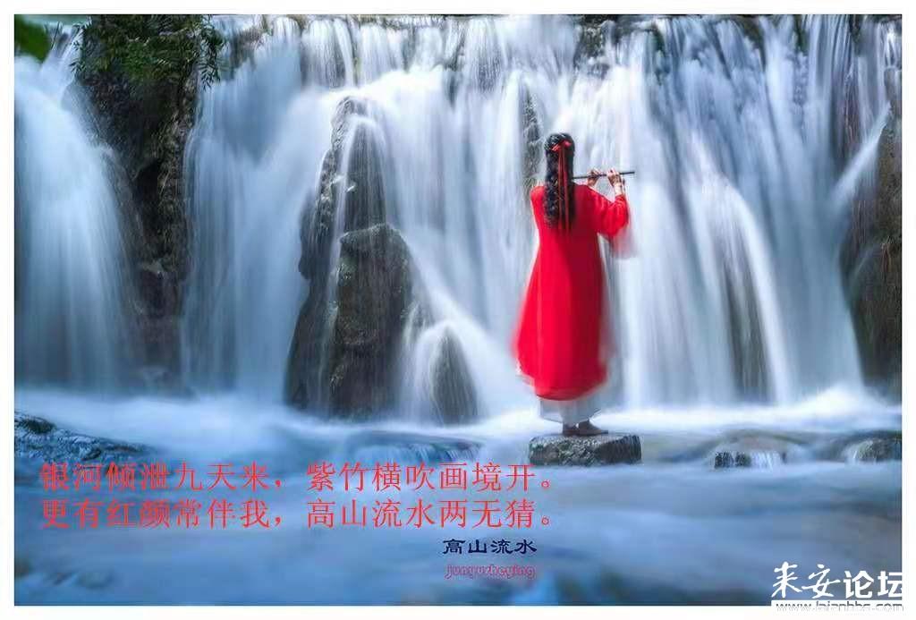 世界上失踪的人口每年有多少?游戏画面