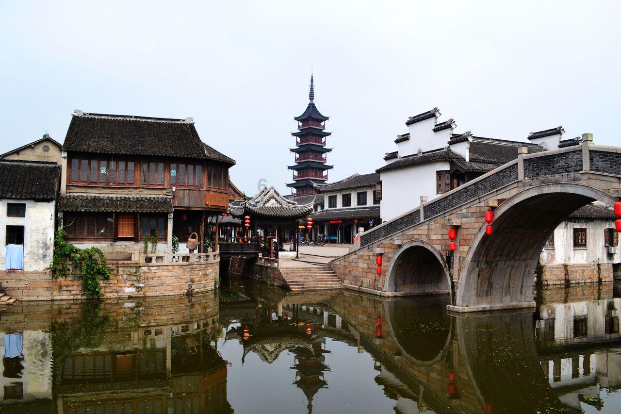 御龙在天